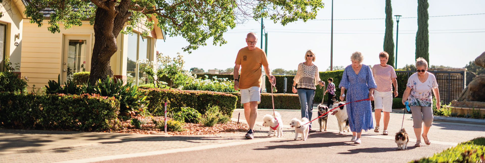 The Perfect Blend of Community and Independence