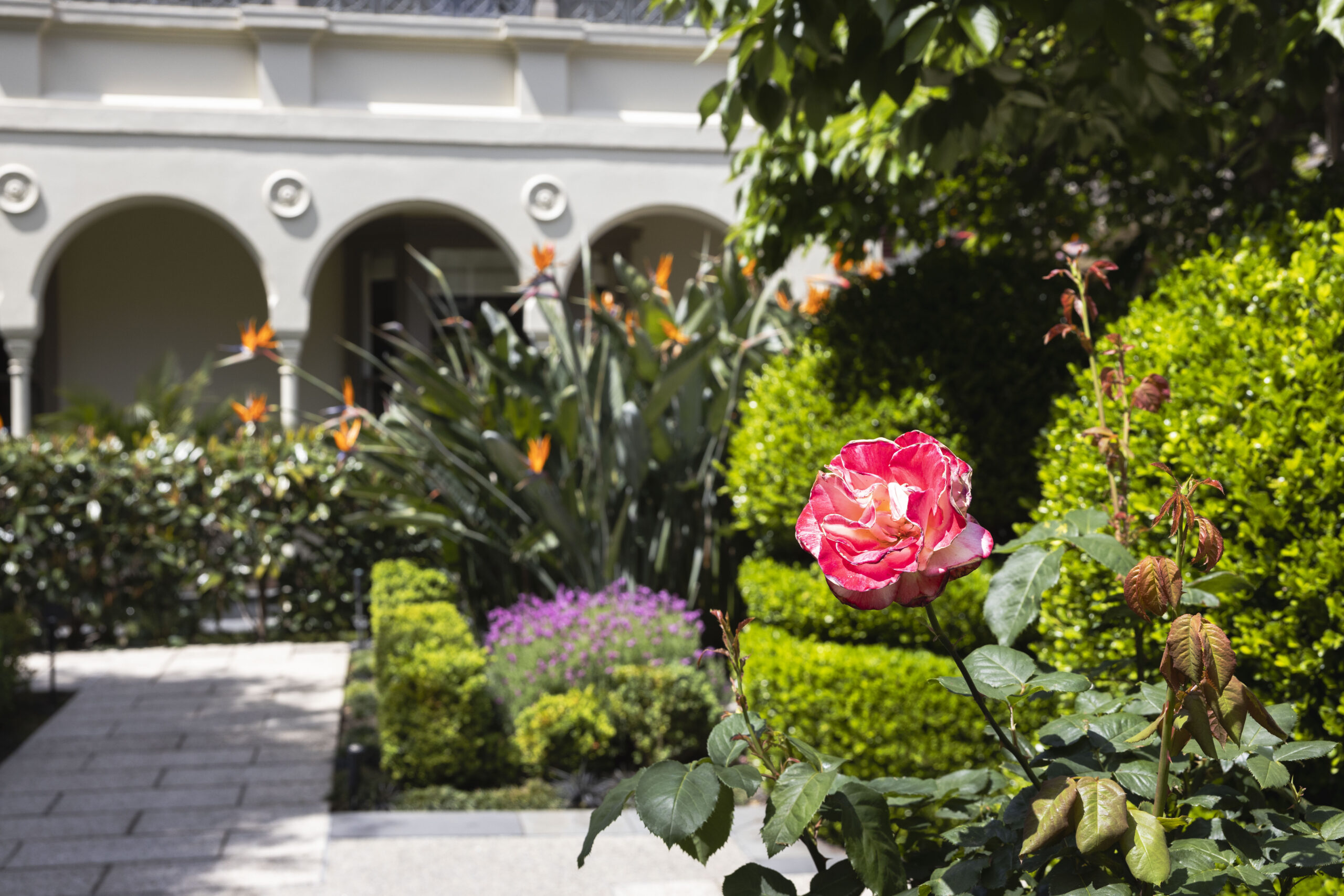 Rylands of Kew
