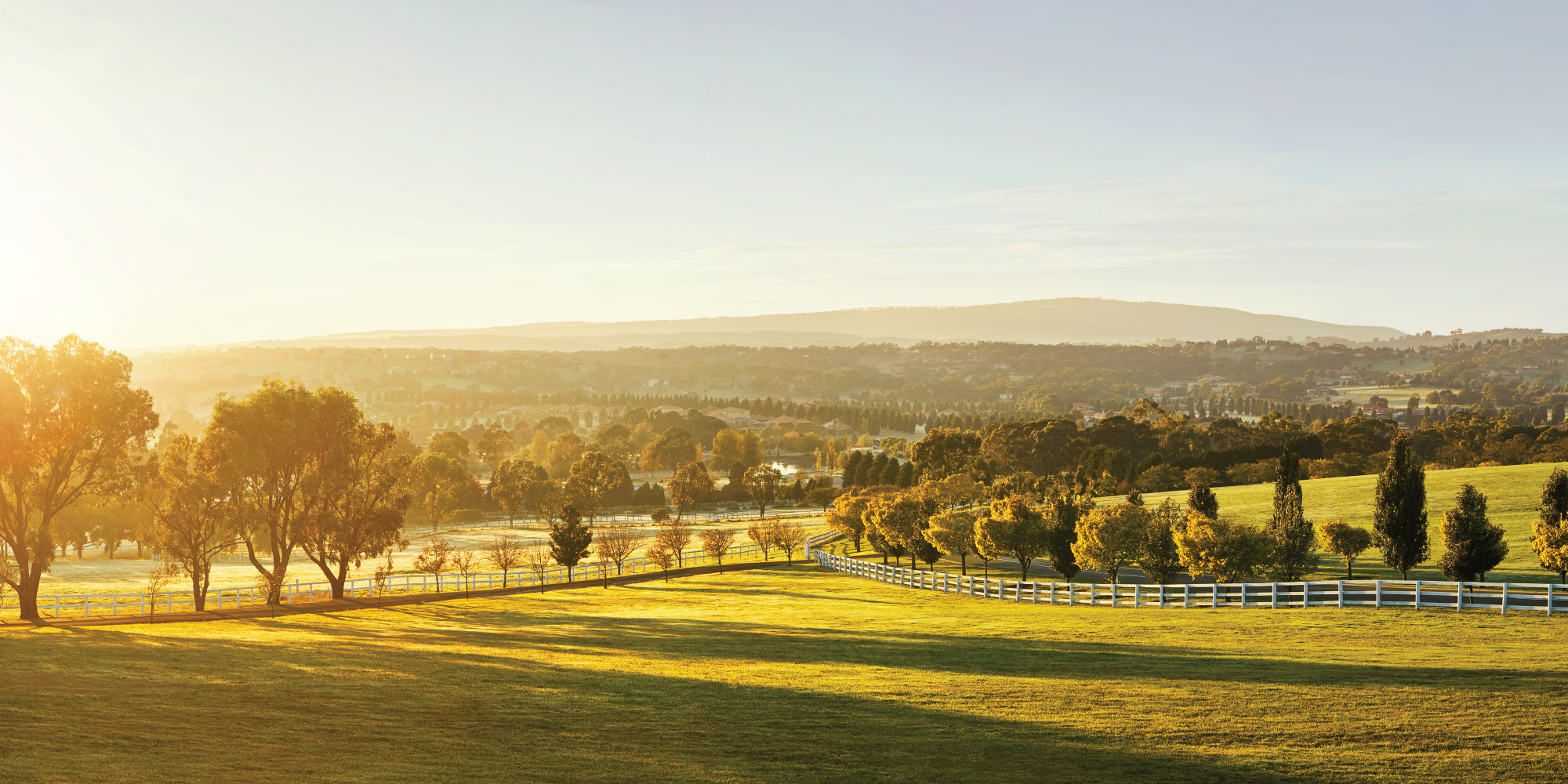 La Dimora The Sweet Life Special Event- Friday, November 28th